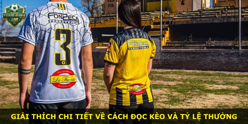 Giải thích chi tiết về cách đọc kèo và tỷ lệ thưởng