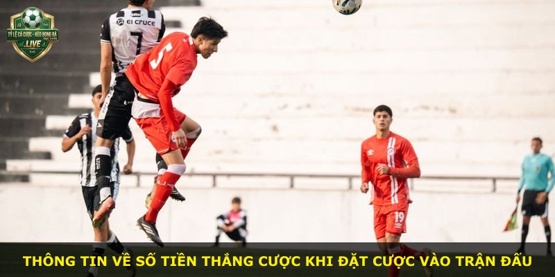 Thông tin về số tiền thắng cược khi đặt cược vào trận đấu