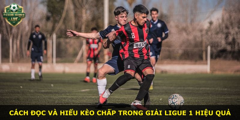 Cách đọc và hiểu kèo chấp trong giải Ligue 1 hiệu quả