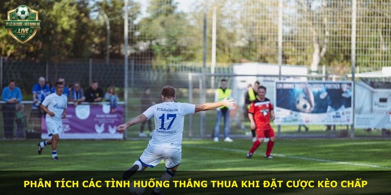 Phân tích các tình huống thắng thua khi đặt cược kèo chấp