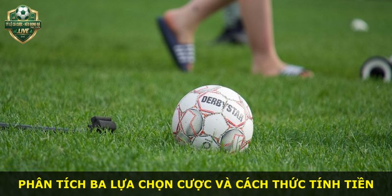 Phân tích ba lựa chọn cược và cách thức tính tiền