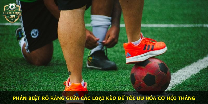 Phân biệt rõ ràng giữa các loại kèo để tối ưu hóa cơ hội thắng