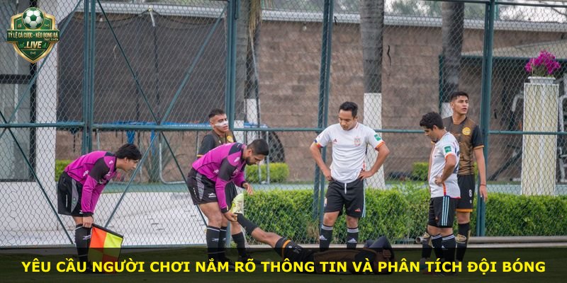 Yêu cầu người chơi nắm rõ thông tin và phân tích đội bóng
