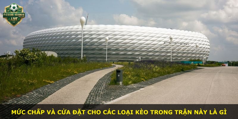 Mức chấp và cửa đặt cho các loại kèo trong trận này là gì