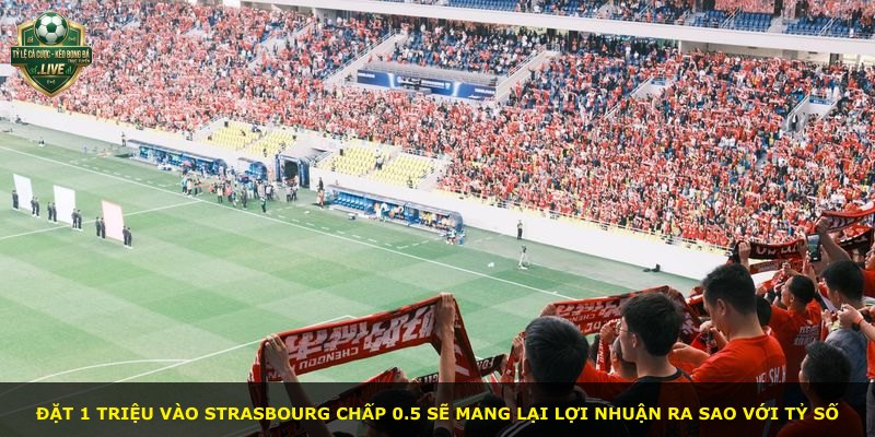 Đặt 1 triệu vào Strasbourg chấp 0.5 sẽ mang lại lợi nhuận ra sao với tỷ số