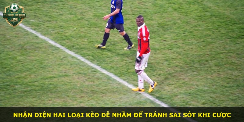 Nhận diện hai loại kèo dễ nhầm để tránh sai sót khi cược