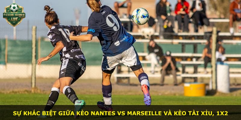 Sự khác biệt giữa kèo Nantes vs Marseille và kèo tài xỉu, 1x2