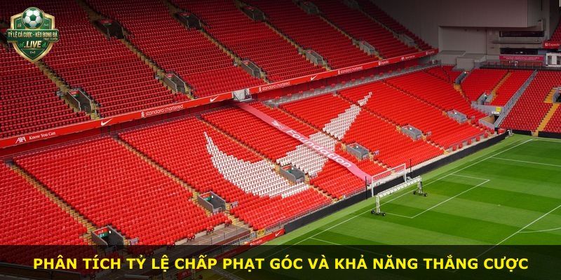 Phân tích tỷ lệ chấp phạt góc và khả năng thắng cược