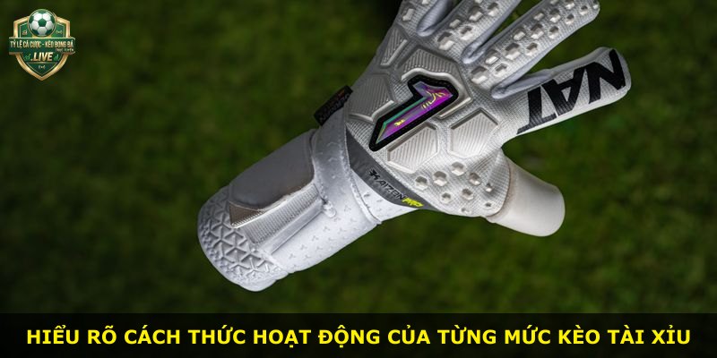 Hiểu rõ cách thức hoạt động của từng mức kèo tài xỉu