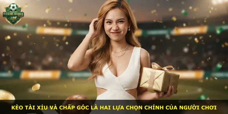 Kèo tài xỉu và chấp góc là hai lựa chọn chính của người chơi