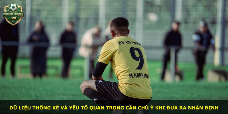 Dữ liệu thống kê và yếu tố quan trọng cần chú ý khi đưa ra nhận định