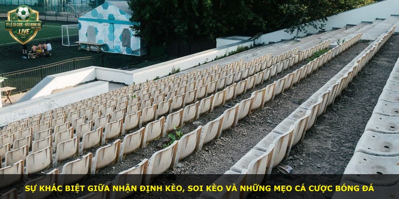 Sự khác biệt giữa nhận định kèo, soi kèo và những mẹo cá cược bóng đá