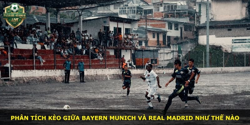 Phân tích kèo giữa Bayern Munich và Real Madrid như thế nào