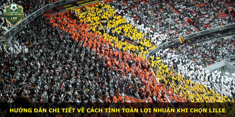 Hướng dẫn chi tiết về cách tính toán lợi nhuận khi chọn Lille