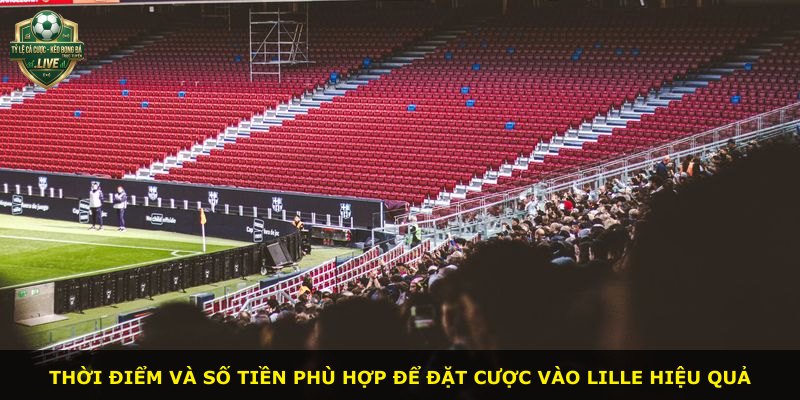 Thời điểm và số tiền phù hợp để đặt cược vào Lille hiệu quả