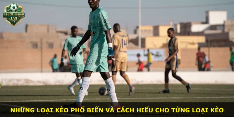 Những loại kèo phổ biến và cách hiểu cho từng loại kèo