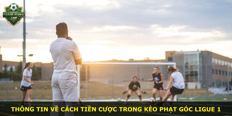 Thông tin về cách tiền cược trong kèo phạt góc Ligue 1