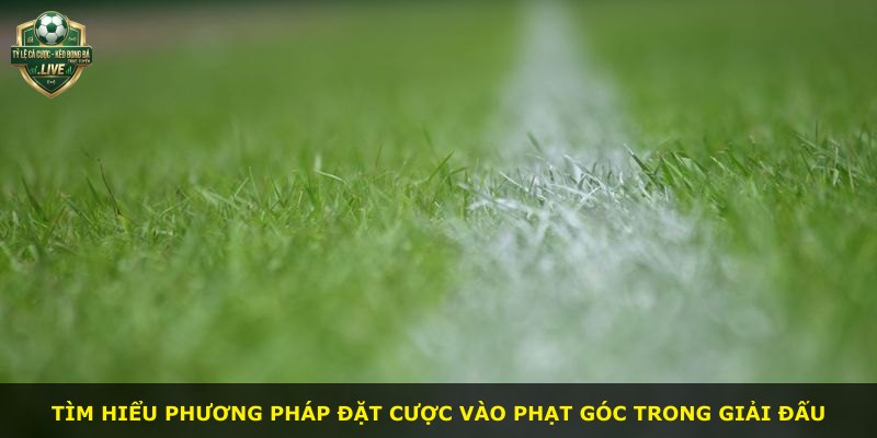 Tìm hiểu phương pháp đặt cược vào phạt góc trong giải đấu