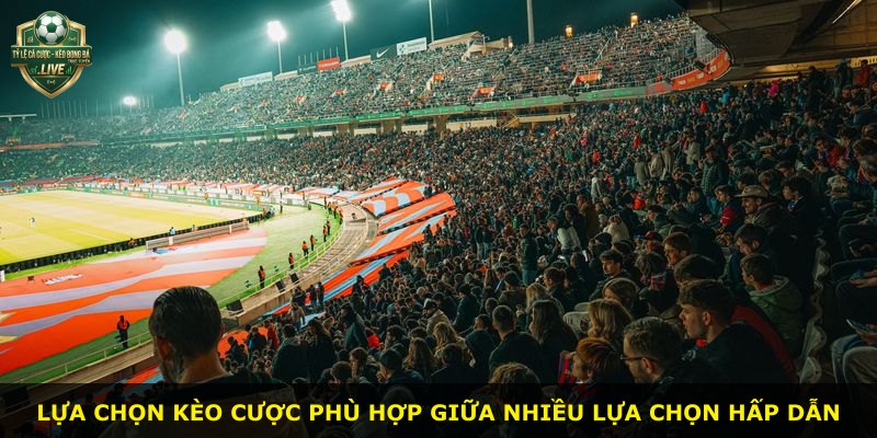 Lựa chọn kèo cược phù hợp giữa nhiều lựa chọn hấp dẫn