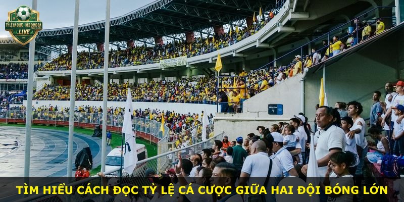 Tìm hiểu cách đọc tỷ lệ cá cược giữa hai đội bóng lớn