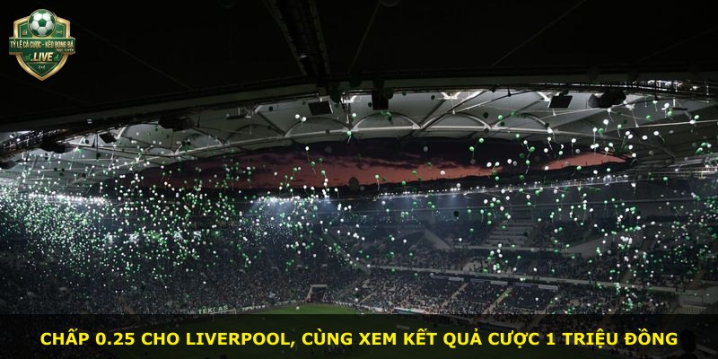Chấp 0.25 cho Liverpool, cùng xem kết quả cược 1 triệu đồng