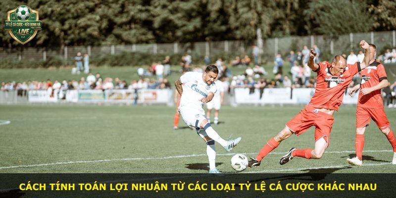Cách tính toán lợi nhuận từ các loại tỷ lệ cá cược khác nhau