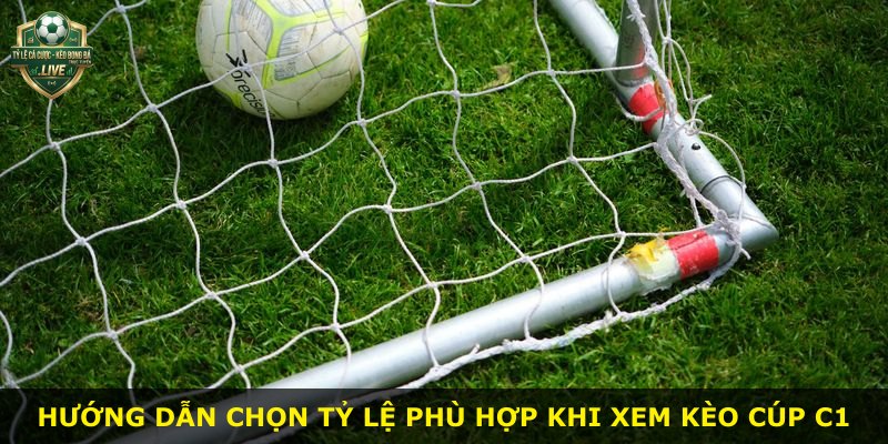 Hướng dẫn chọn tỷ lệ phù hợp khi xem kèo Cúp C1