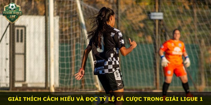 Giải thích cách hiểu và đọc tỷ lệ cá cược trong giải Ligue 1