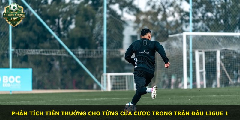 Phân tích tiền thưởng cho từng cửa cược trong trận đấu Ligue 1
