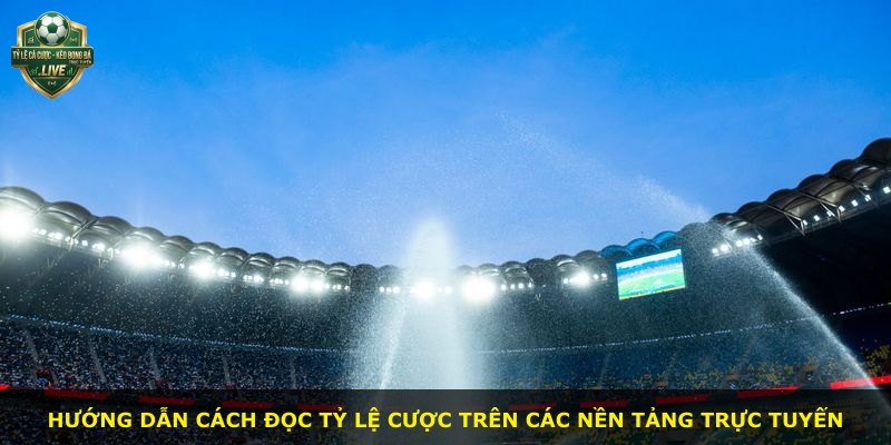 Hướng dẫn cách đọc tỷ lệ cược trên các nền tảng trực tuyến