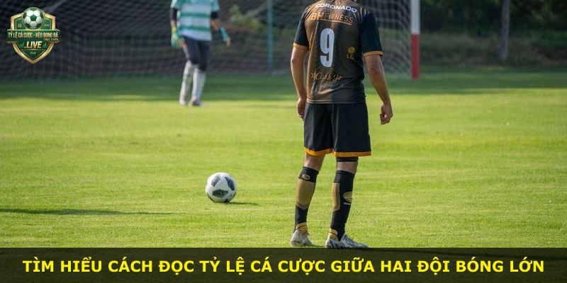 Tìm hiểu cách đọc tỷ lệ cá cược giữa hai đội bóng lớn