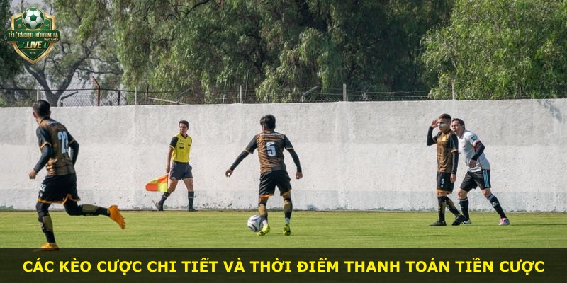 Các kèo cược chi tiết và thời điểm thanh toán tiền cược