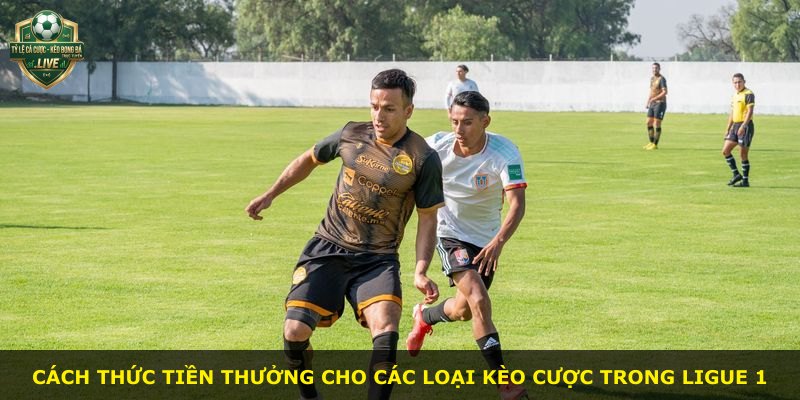 Cách thức tiền thưởng cho các loại kèo cược trong Ligue 1