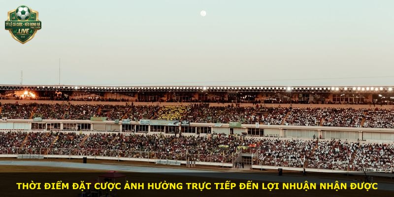 Thời điểm đặt cược ảnh hưởng trực tiếp đến lợi nhuận nhận được