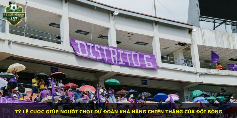 Tỷ lệ cược giúp người chơi dự đoán khả năng chiến thắng của đội bóng